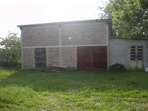 Apri il file originale
