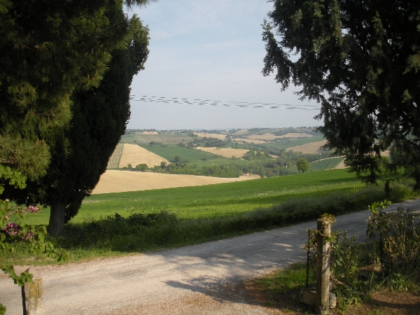 Apri il file originale