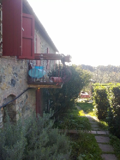 Apri il file originale