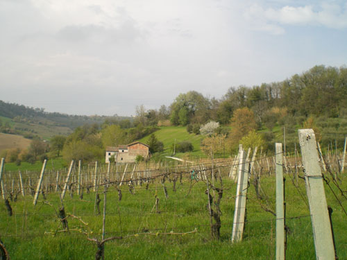 Apri il file originale
