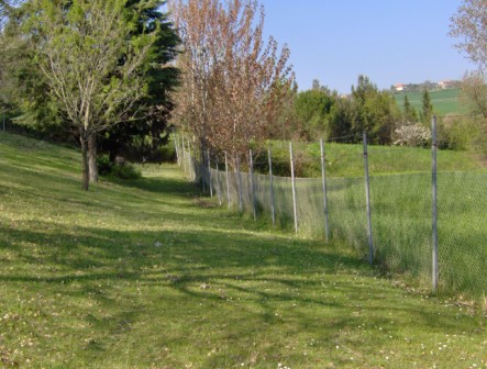 Apri il file originale